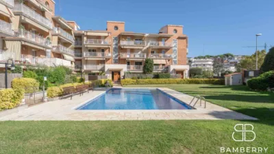 Apartment in Carrer de la Senia photo 39