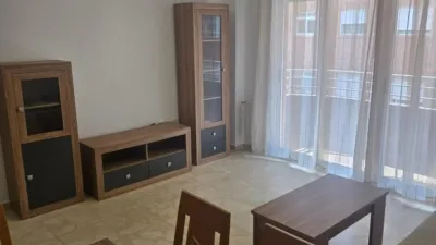 Apartment in Fiesta del Arbol photo 4