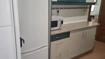 Apartment in Fiesta del Arbol photo 17