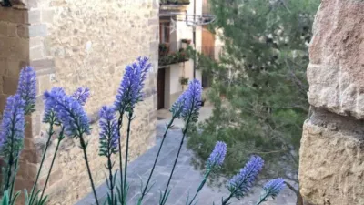 House in Comunidad Valenciana photo 43