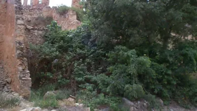 House in the Valencian Community photo 3