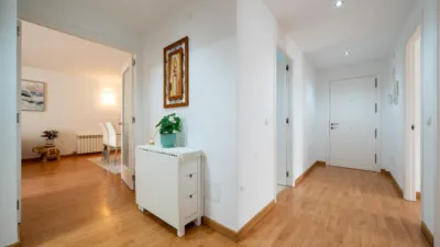 Apartment in Coll Den Rabassa photo 5