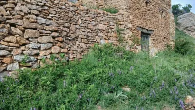 Casa en Aragon photo 3