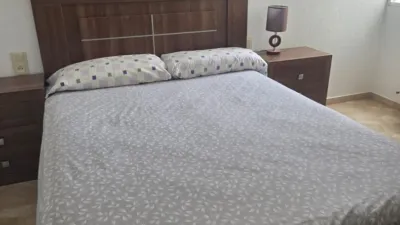 Apartment in Fiesta del Arbol photo 8