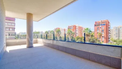 Pis – Alicante - Alacant - Vista 3