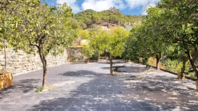Rustic Finca in Ojén Pueblo photo 60