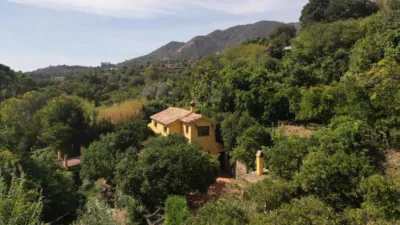Rustic Finca in Ojén Pueblo photo 3