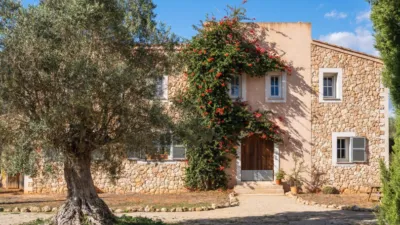 Rustic finca in Rustica photo 3
