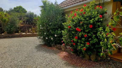 Chalet in South Of Spain photo 6
