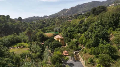 Rustic Finca in Ojén Pueblo photo 16