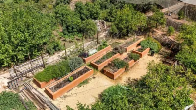 Apartment in Comunidad Valenciana photo 35