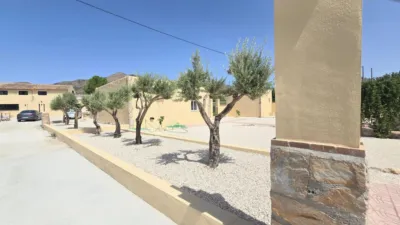 Terraced house in Abanilla photo 25