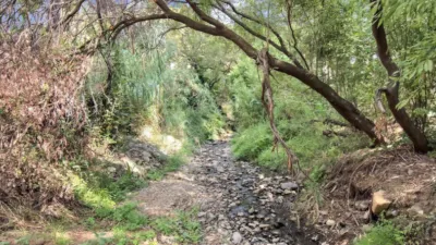 Rustic Finca in Ojén Pueblo photo 70