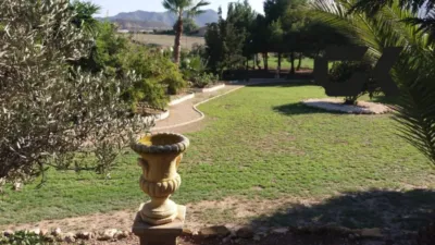 Chalet in La Atalaya photo 8