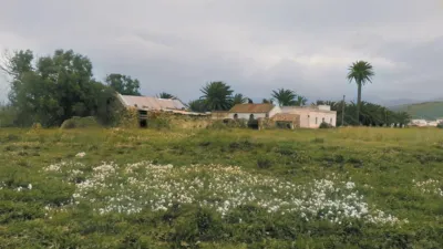Rustic finca on Sancho IV 'El Bravo' Street photo 12