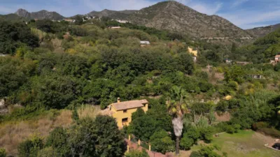 Rustic Finca in Ojén Pueblo photo 21