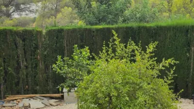 Chalet in the Valencian Community photo 76