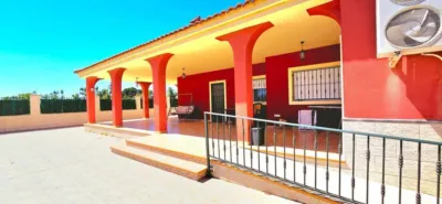 Casa – Crevillent, Polígono Industrial Catxapets, el Baix Vinalopó - Vista 5