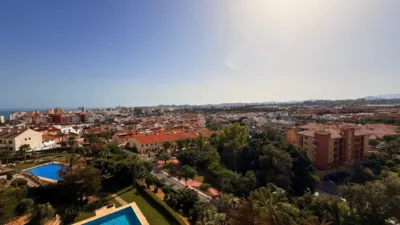Apartment in Los Pacos photo 3
