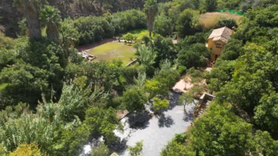 Rustic Finca in Ojén Pueblo photo 18