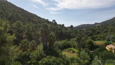Rustic Finca in Ojén Pueblo photo 85