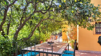 Rustic Finca in Ojén Pueblo photo 8