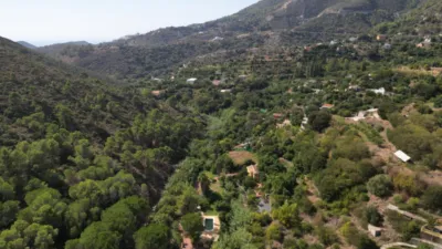 Rustic Finca in Ojén Pueblo photo 82