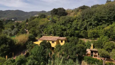 Rustic Finca in Ojén Pueblo photo 2