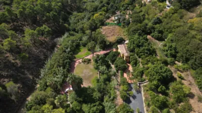 Rustic Finca in Ojén Pueblo photo 6