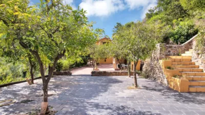 Rustic Finca in Ojén Pueblo photo 61