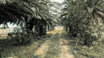 Rustic finca on Sancho IV 'El Bravo' Street photo 11