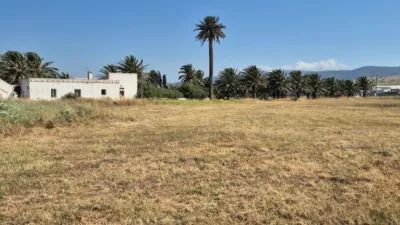Rustic finca on Sancho IV 'El Bravo' Street photo 32