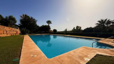 Apartment in Los Pacos photo 4