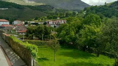 House in Arredondo photo 18