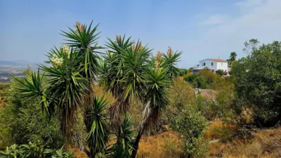 Chalet in South Of Spain photo 43