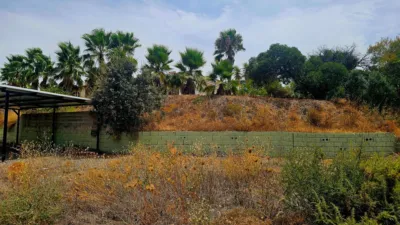 Chalet in South Of Spain photo 46