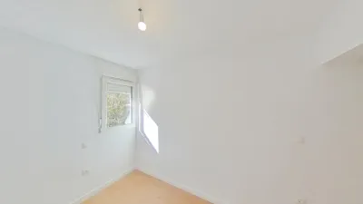 Apartment in Buenavista photo 13