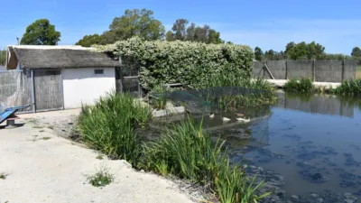 Rustic Finca in Poble Nou del Delta - Eucalyptus photo 8