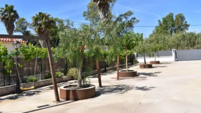 Rustic Finca in Poble Nou del Delta - Eucalyptus photo 26