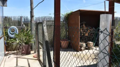 Rustic Finca in Poble Nou del Delta - Eucalyptus photo 29