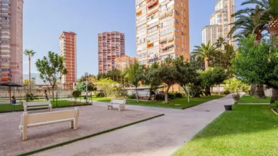 Apartment on Avenida de Juan Fuster, Zaragoza photo 29