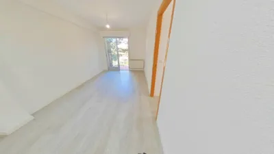 Apartment in Centro photo 8