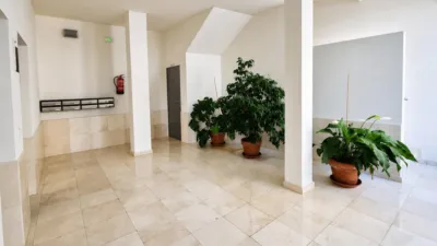 Apartment in Travesía Marqués de Ceballos photo 4