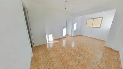 Apartment in La Creu Coberta photo 4