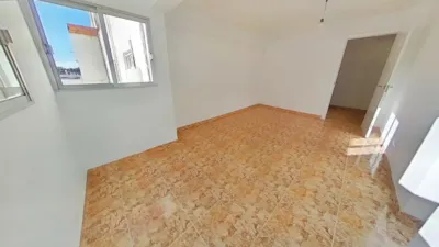 Apartment in La Creu Coberta photo 7