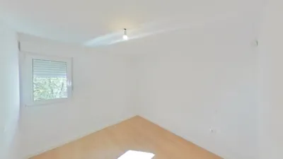 Apartment in Buenavista photo 14