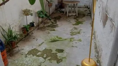 Apartment on Menéndez Pelayo Street photo 4