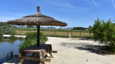 Rustic Finca in Poble Nou del Delta - Eucalyptus photo 18