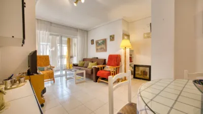 Apartment in Acequion photo 12