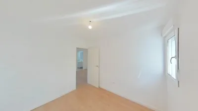 Apartment in Buenavista photo 8